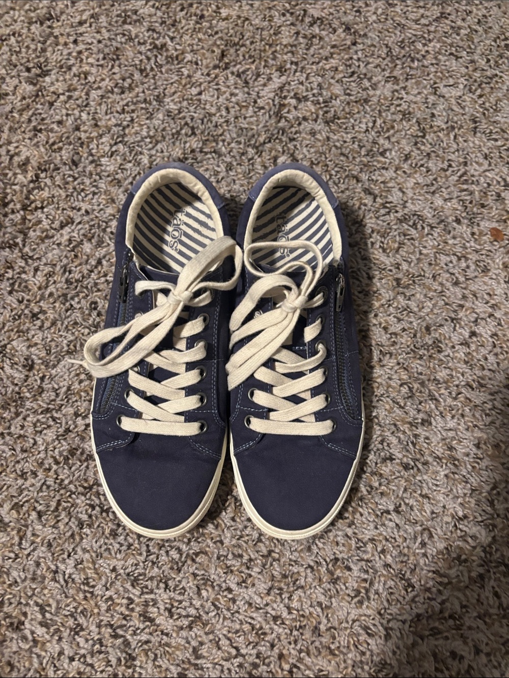 Taos Navy Canvas Low-Top Sneakers with Cream Laces